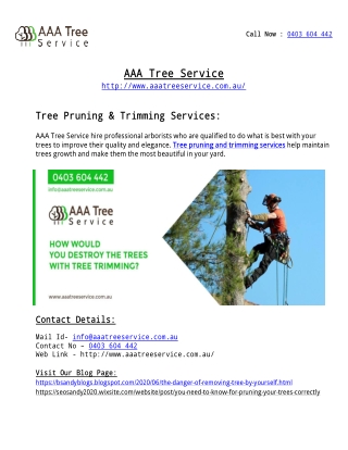 Commercial Tree Services