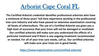 Arborist Cape Coral FL