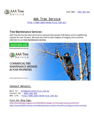 Tree Maintenance  Company