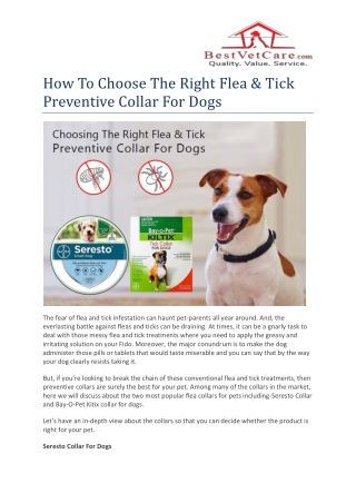 How To Choose The Right Flea & Tick Preventive Collar For Dogs- bestvetcare