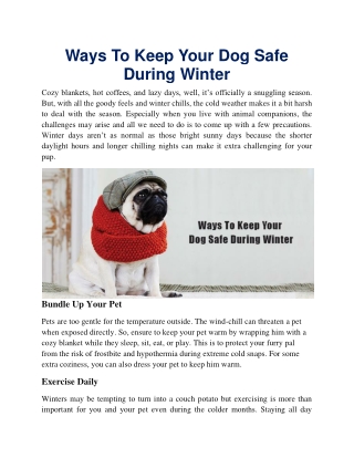 Ways To Keep Your Dog Safe During Winter