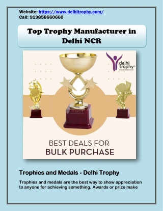 Top Trophy Manufacturer in Delhi NCR