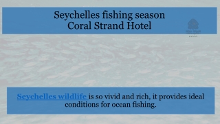 Seychelles fishing season by Coral Strand Hotel