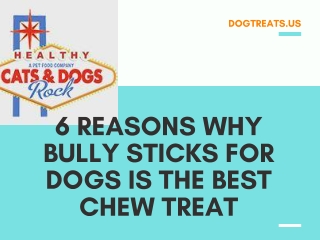 6 Reasons why Bully Sticks for Dogs is the Best Chew Treat