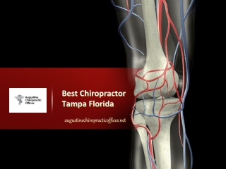 Best chiropractor tampa Florida - Augustine Chiropractic Offices