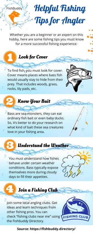 Fishing Tips: 8 Basics All Anglers Need to Know