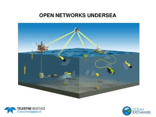 Open Networks Undersea