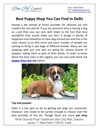 Pet Dog – Get From the Perfect Source