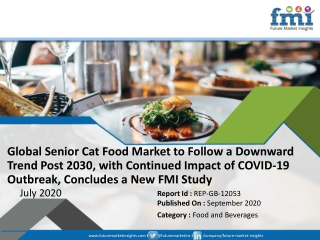 Senior Cat Food Market