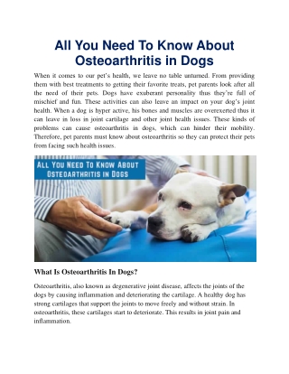 All You Need To Know About Osteoarthritis in Dogs