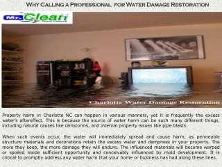 Why Calling a Professional  for Water Damage Restoration