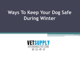 Ways To Keep Your Dog Safe During Winter