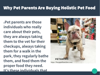 Why Pet Parents Are Buying Holistic Pet Food