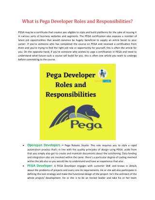 What is Pega Developer Roles and Responsibilities?