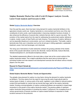 Impact of COVID-19 on Sulphur Bentonite Market Size