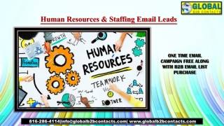 Human Resources & Staffing Email Leads