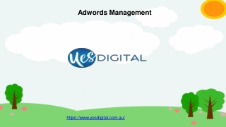 Adwords Management