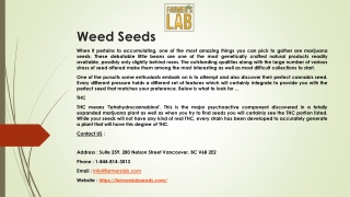 Weed Seeds