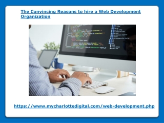 Reasons to hire a Web Development Organization