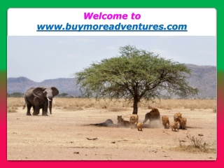 Professional Guide to Experience the Splendid Adventure Safari in Kenya on Budget