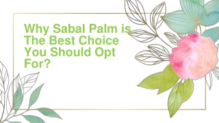 Why Sabal Palm is The Best Choice You Should Opt For?