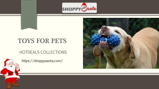 Toys for Pets Online at ShoppySanta