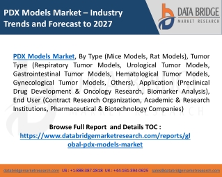 PDX Models Market Update, Analysis, Forecast, 2020-2027