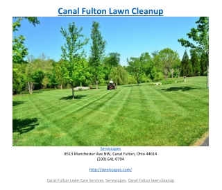 Canal Fulton Lawn Cleanup