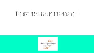 The best Peanuts suppliers near you!