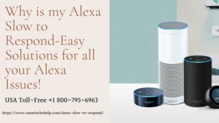 Alexa Slow to Respond 1-8007956963 Echo Dot Slow to Respond