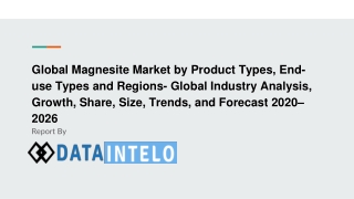 Magnesite Market growth opportunity and industry forecast to 2026