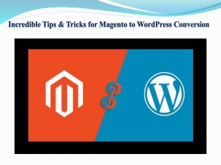 Incredible Tips & Tricks for Magento to WordPress Conversion