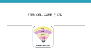 Is There Any Kind Of Stem Cell Therapy For Neurons?