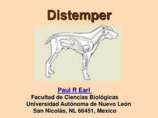 Distemper