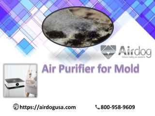 The new energy efficiency Air Purifier for mold with washable filter - Airdog USA