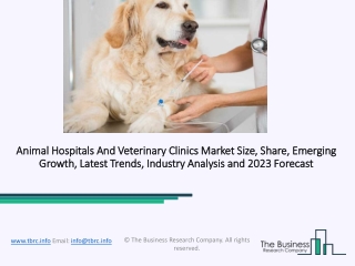 Global Animal Hospitals And Veterinary Clinics Market Overview And Top Key Players by 2023