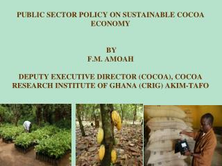 PUBLIC SECTOR POLICY ON SUSTAINABLE COCOA ECONOMY BY F.M. AMOAH DEPUTY EXECUTIVE DIRECTOR (COCOA), COCOA RESEARCH INS