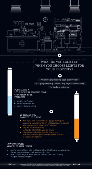 What do you look for when you choose Lights for your property