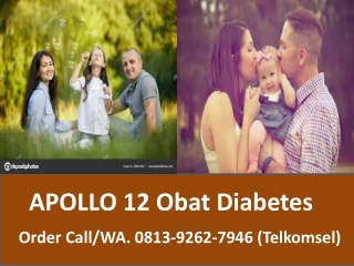 Obat Diabetes Melitus Alami APOLLO 12 0813 9262 7946