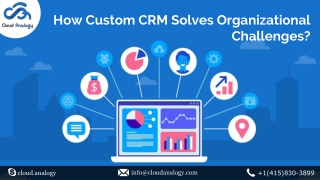 How Custom CRM Solves Organizational Challenges?