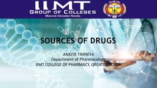 Top Pharmacy College in Delhi NCR - IIMT Group of Colleges