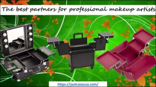 Makeup cases on wheels - The best partners for professional makeup artists