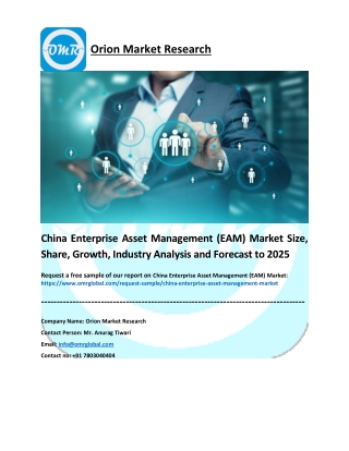 China Enterprise Asset Management (EAM) Market