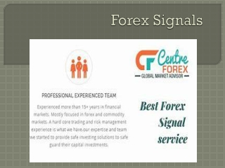 Best Free Forex Signal Provider