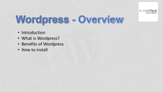 WordPress Development Services Company India | Custom WordPress Website Design Agency