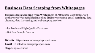 Business Data Scraping from Whitepages