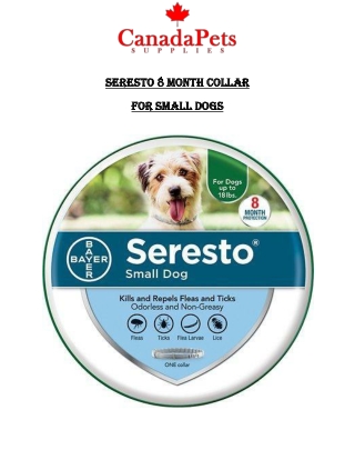 Seresto 8 Month Collar for Small Dogs - CanadaPetsSupplies.com