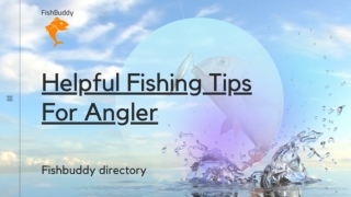 Find the Perfect Fishing Tips for Beginner or an Expert Anglers