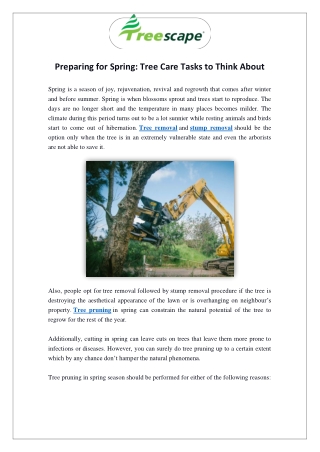 Preparing for Spring: Tree Care Tasks to Think About