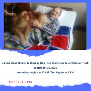 Canine Good Citizen & Therapy Dog Certification